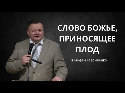 Видео: Слово Божье приносящее плод | Тимофей Гавриленко 