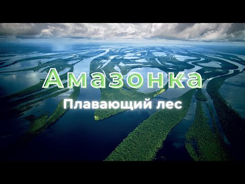 Видео: Амазонка: плавающий лес | Неизведанные острова