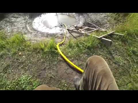 Видео: Осётр в маленьком пруду. Часть 2 Итог - осетров сожрали. Вылов рыбы. (01.10.2019)