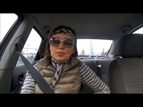 Видео: #666 США Аляска Несбывшиеся мечты Возвращение блудного попугая