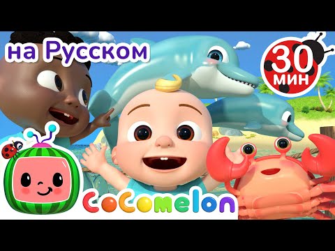 Видео: Морские Животные | Новая Серия💫 30 минут | CoComelon на русском — Детские песенки