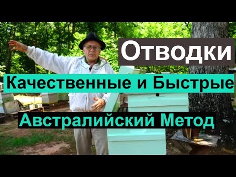 Видео: Пасека #79 Отводки Качественные  и Быстрые, Австралийский метод  | Пчеловодство для начинающих
