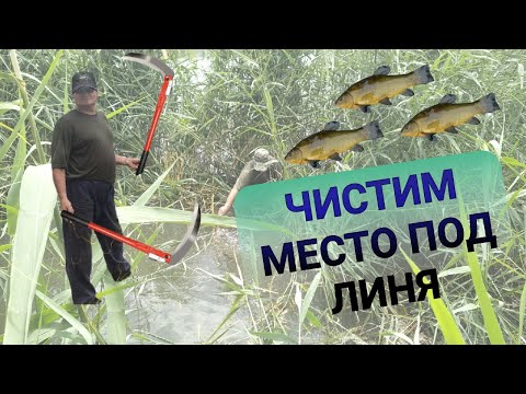 Видео: ЧИСТКА МЕСТА ДЛЯ ЛИНЯ, КАРАСЯ