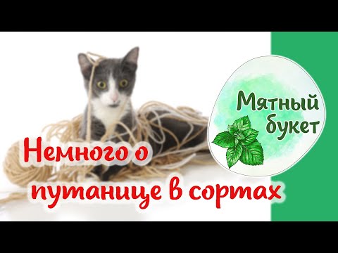 Видео: О путанице в сортах (ч.1)