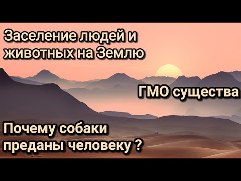Видео: Собаки и любовь к человеку. Заселение людей и животных на Землю. Сотворенные животные.