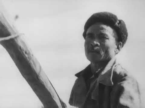 Видео: Аральское море, Документальный фильм, 1963 год