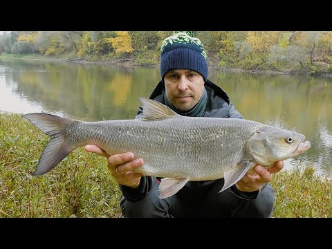 Видео: Ловля Жереха на Десні. Розіграш Спінінга і Котушки
