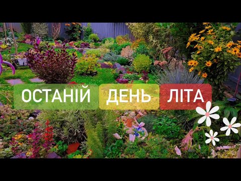 Видео: Завтра вже прийде осінь. Останій день літа. Прогулянка літнім садом🍃🌼