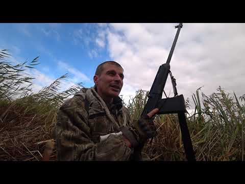 Видео: Моя лучшая охота на крякву 2021  Утка с зерновых полей. Duck shooting from Saiga 12.Mallard hunting.