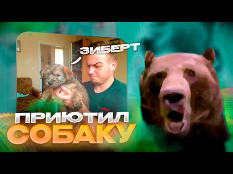 Видео: Как Давг ПРИЮТИЛ ПСА из ПОМОЙКИ!
