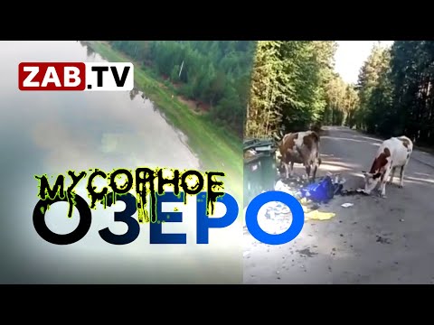 Видео: Берега озера Арей превращают в свалку