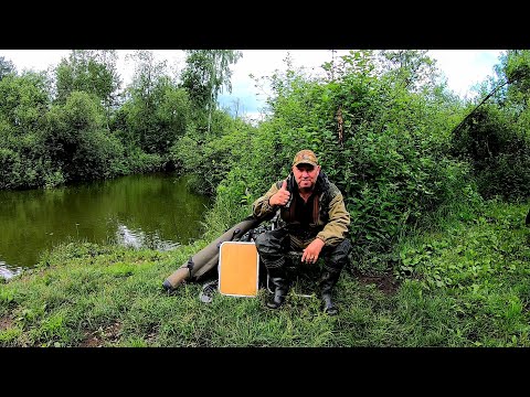 Видео: Рыбалка на речке с ночёвкой!!! Удивительная поклёвка😳