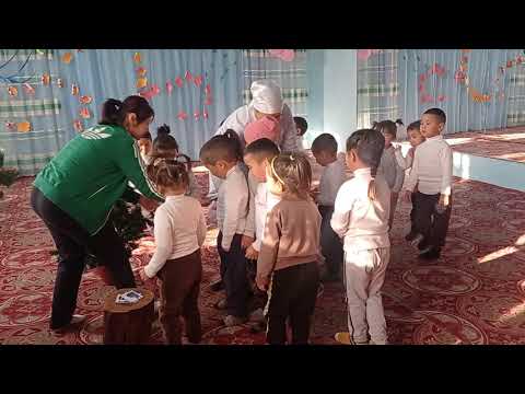 Видео: "Куршаб" балдар бакчасы.Ортонку тайпа.Дене -тарбия сабагы.