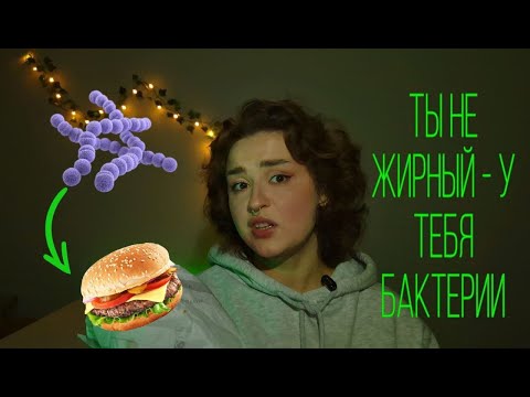 Видео: Ты не жирный, у тебя БАКТЕРИИ | Почему медленный МЕТАБОЛИЗМ лучше быстрого