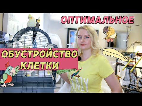 Видео: ОПТИМАЛЬНОЕ ОБУСТРОЙСТВО КЛЕТКИ ПОПУГАЯ | КАК РАЗМЕСТИТЬ ЖЕРДОЧКИ ИГРУШКИ И КОРМУШКИ В КЛЕТКЕ