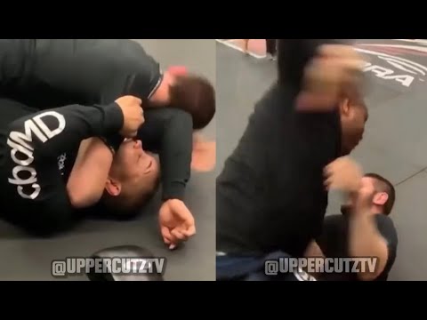 Видео: Хабиб пытается сдаться, но терпит поражение.