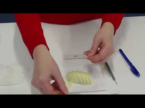 Видео: Видео приготовление микропрепарата кожицы лука