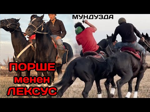 Видео: Мундуздан ЭГИЗДЕЙ ЭКИ АТЫ ТААМАЙЛАР