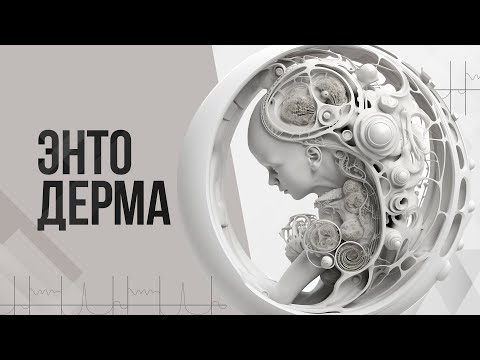 Видео: Зародышевый листок энтодерма | ГНМ