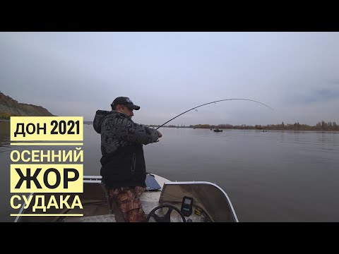 Видео: Ворвались в толпу и НАЧАЛИ ЛОВИТЬ на каждом забросе! Рыбалка на Дону 2021! Судак на ДЖИГ!