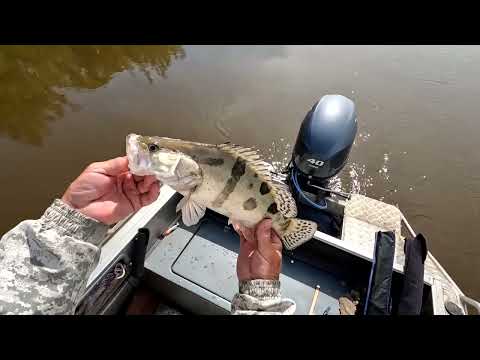 Видео: Ауха.  Летом на зимние снасти!