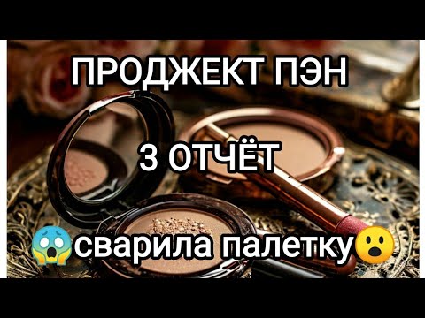 Видео: Проджект пэн 2025/3 отчёт