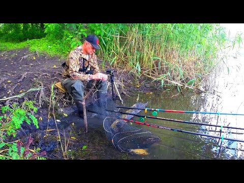 Видео: РИБАЛКА НА ПОПЛАВОК для ДУШІ.  Риболовля на КРУПНОГО на Карася. БОЛОТО МАЙЖЕ ВИСОХЛО.