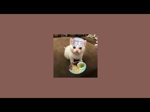 Видео: Айшат Айсаева- Наш Кавказ (speed up)