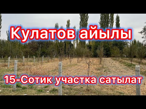 Видео: Кулатов айылы 15-Сотик участка☎️ 0702601004, +79600616495