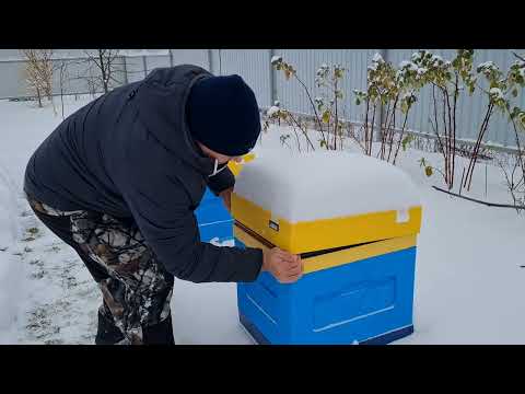Видео: Хорошая зимовка пчел без влаги. Глухое дно и пленка .