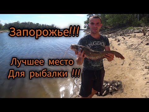 Видео: Запорожье!!! Лучшее место для рыбалки!!!