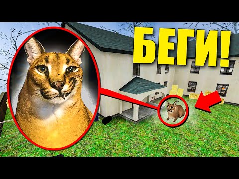 Видео: ЕСЛИ УВИДИШЬ ЭТОГО СТРАШНОГО ШЛЁПУ ВОЗЛЕ ДОМА, СРОЧНО БЕГИ! УГАР И БЕЗУМИЕ В Garry`s Mod