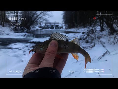Видео: Мормышинг в сказочном месте зимой