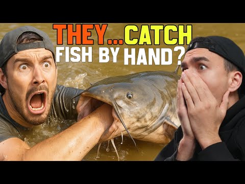 Видео: Новозеландец впервые отреагировал на лапшу из сома! (Они что, ловят рыбу руками!? 😳)