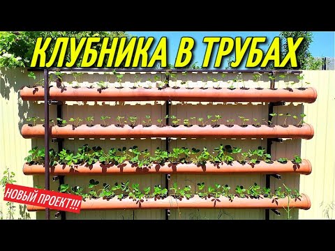 Видео: КЛУБНИКА В ТРУБАХ-2021.Новый СУПЕР проект!Грядки из труб для клубники.