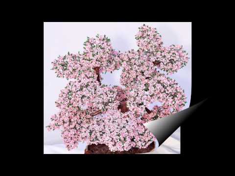 Видео: Бонсай из бисера