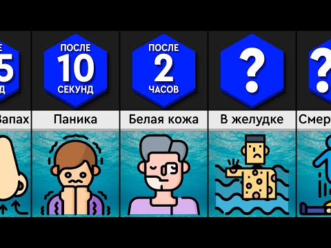 Видео: Что, Если Тебя Проглотил Кит?