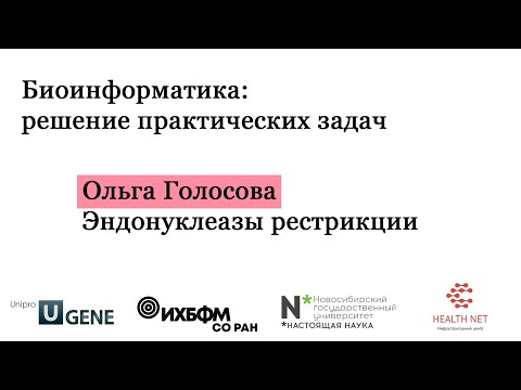 Видео: B1P3 - эндонуклеазы рестрикции