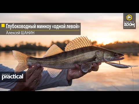 Видео: Глубоководный минноу «одной левой». Алексей Шанин. Anglers Practical