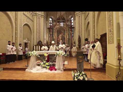 Видео: Урочистість св. Мартина. 11.11.2025 р. / Szent Márton ünnepe, 2025.11.11.