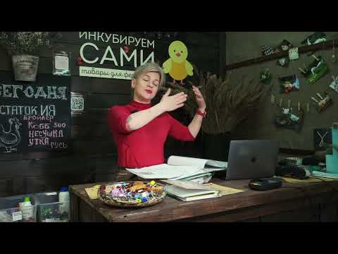 Видео: Обзор магазина «ИНКУБИРУЕМ САМИ»