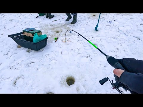 Видео: ПОДО МНОЙ КИШИТ СУДАКАМИ и не только, РАЗНОРЫБИЦА на балансир. Рыбалка на реке зимой в 2024