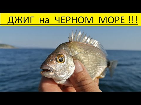 Видео: Морская рыбалка. рыбалка в Черном море с берега 20.05.2021