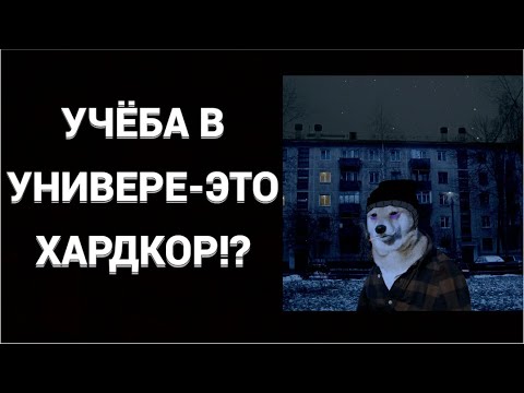 Видео: НАСКОЛЬКО ДЕЙСТВИТЕЛЬНО СЛОЖНО УЧИТЬСЯ В УНИВЕРСИТЕТЕ? ЛИЧНЫЙ ОПЫТ!