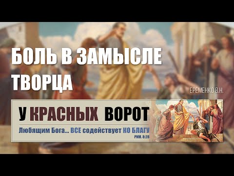 Видео: Боль в замысле Творца || Ерёменко В.Н.