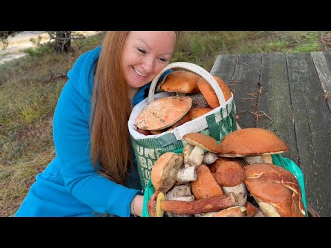 Видео: Лес не отпускал! Нашли идеальные маслята и подосиновики / Урожай мечты!