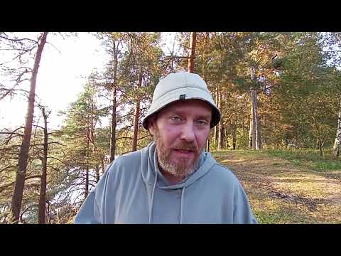Видео: Такси, 1/5 без работы?! Ответ Лондону будет быстр! Крысы в 5ке. Чип без ведома. Штраф за эмодзи