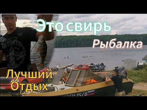 Видео: Дальние берега Свири рыбалка