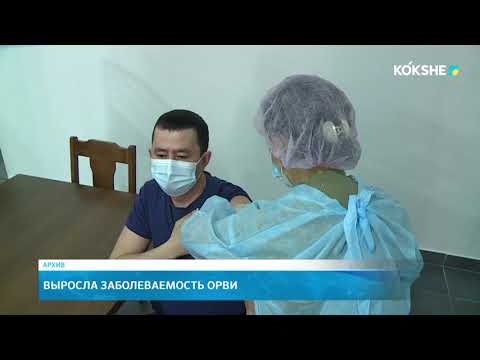 Видео: KOKSHE AQPARAT | Итоговые новости - 09.10.2025