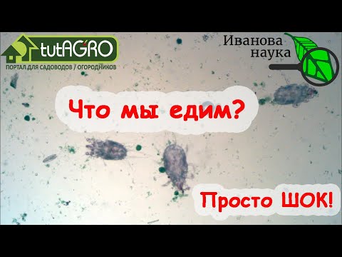 Видео: Это ВИДЕО вас ШОКИРУЕТ! Но СМОТРЕТЬ его НАДО! Что я обнаружил в МЕДУ. Расследование Ивановой Науки.